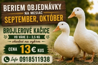 BROJLEROVÁ KAČICA  váha 3 kg 